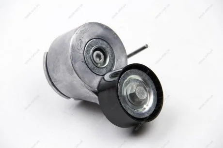 Натяжник ременя генератора Citroen Berlingo/Peugeot Partner 1.6HDi 06- (53x25) Gates T38371