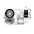 Натяжник поліклинового паска Citroen/Peugeot/Fiat 1.4HDi, 1.6HDi/D Multijet, 2.2HDi 09.01- Gates T38458 (фото 1)