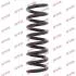 Пружина підвіски KAYABA KYB RA6135 (фото 1)