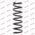 Винтовая пружина подвески (задняя) KYB RA6262 (фото 1)