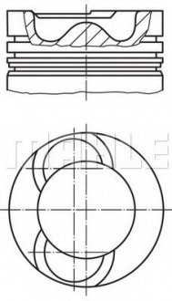 Поршень DAF 130.0 WS222/WS242/WS268/WS295/WS315 EURO 2 MAHLE MAHLE / KNECHT 213 65 00