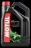 Олива для 2-тактних двигунів MOTUL 104030 (фото 1)