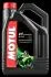 Олива для 2-х тактних двигунів Technosynthese 837441/510 2T (4L)/104030 MOTUL 837441 / 104030 (фото 1)