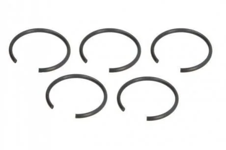 Запобіжне кільце PASCAL CIR G1301PC (фото 1)