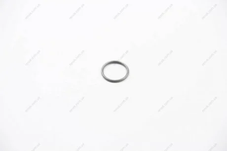 КІЛЬЦЕ УЩІЛЬНЮЮЧЕ PEUGEOT Peugeot/Citroen 1609848880 (фото 1)