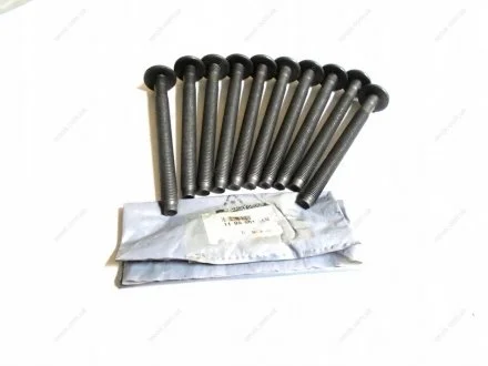 Болти головки блоку Mercedes Benz Vito OM626 / Opel Vivaro / Trafic 1.6 DCI 14- (к-кт 10шт.) RENAULT 110560195R