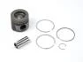 Комплект поршня1,5dci Duster, Megane II, Sandero RENAULT 120A13546R (фото 1)