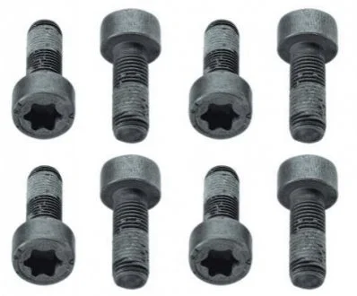 Гвинт зчеплення SACHS 1874 000 010 (фото 1)