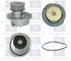 Водяной насос Combo/Astra F/G/Vectra A/B1.2/1.4/1.6 -05 Saleri SIL SALERI SIL PA437P (фото 1)