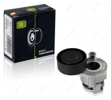 Ролик ременя генератора з натяжним механізмом Renault Clio, Kangoo (K9K, K4M) Trialli CMS 0909