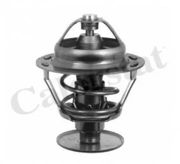 Термостат, охолоджуюча рідина Vernet TH1542.89J