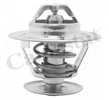 Термостат, охолоджуюча рідина Vernet TH4561.87J