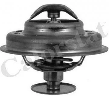 Термостат CALORSTAT BY Vernet TH4945.89J