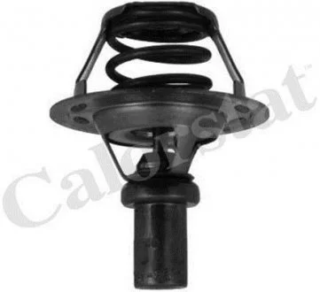 Термостат, охолоджуюча рідина Vernet TH5284.86J