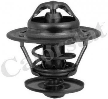 Термостат, охолоджуюча рідина Vernet TH6434.82J