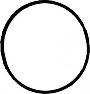 Прокладка, випускний колектор RZ VICTOR REINZ 71-37213-00